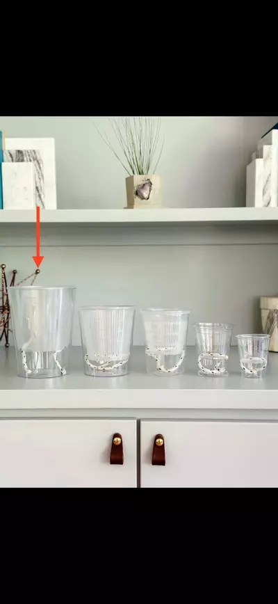 plant/Clear Self watering planter D quantity 1-0-thumbnail