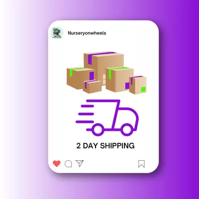 heat_pack/2 Day shipping-0-thumbnail