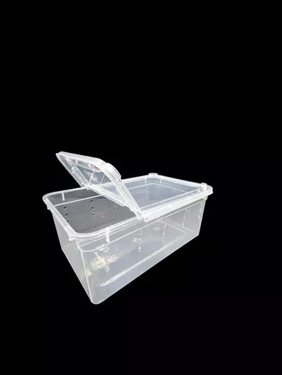 plant/Small Horizontal Tub-0-thumbnail