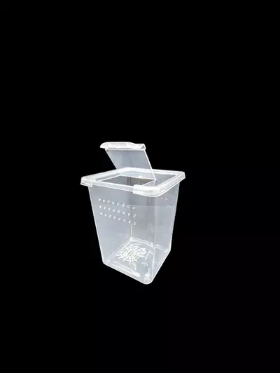 plant/Small Vertical Tub -1-thumbnail