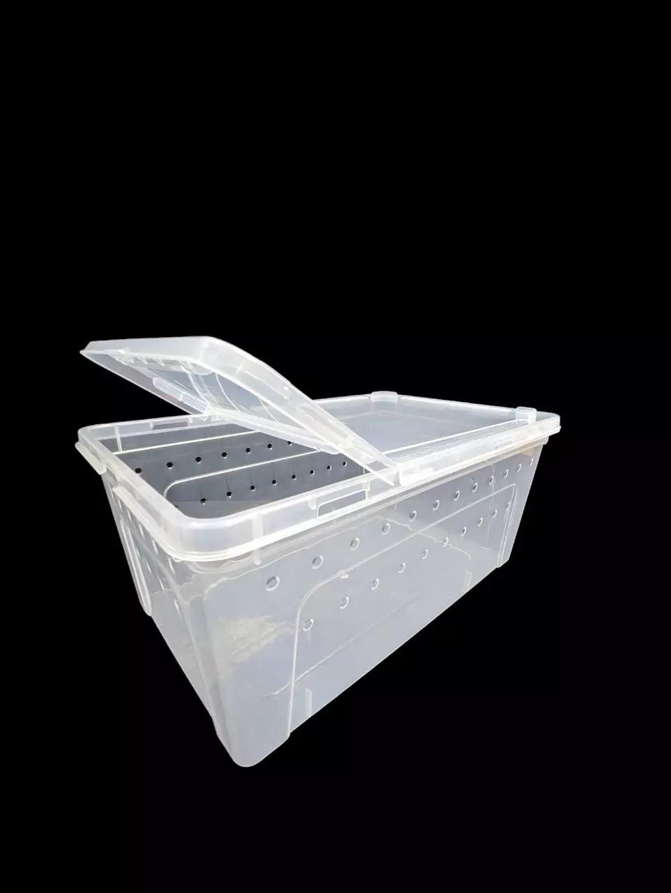 plant/Large Horizontal Tub-1