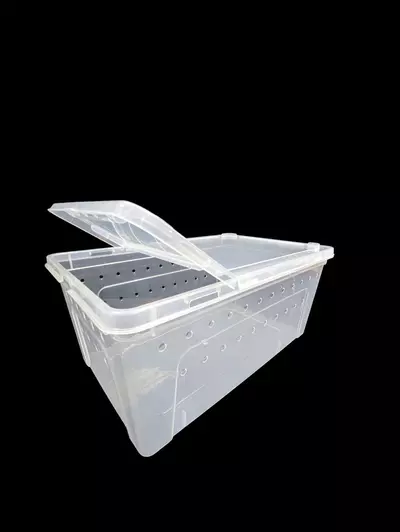 plant/Large Horizontal Tub-1-thumbnail