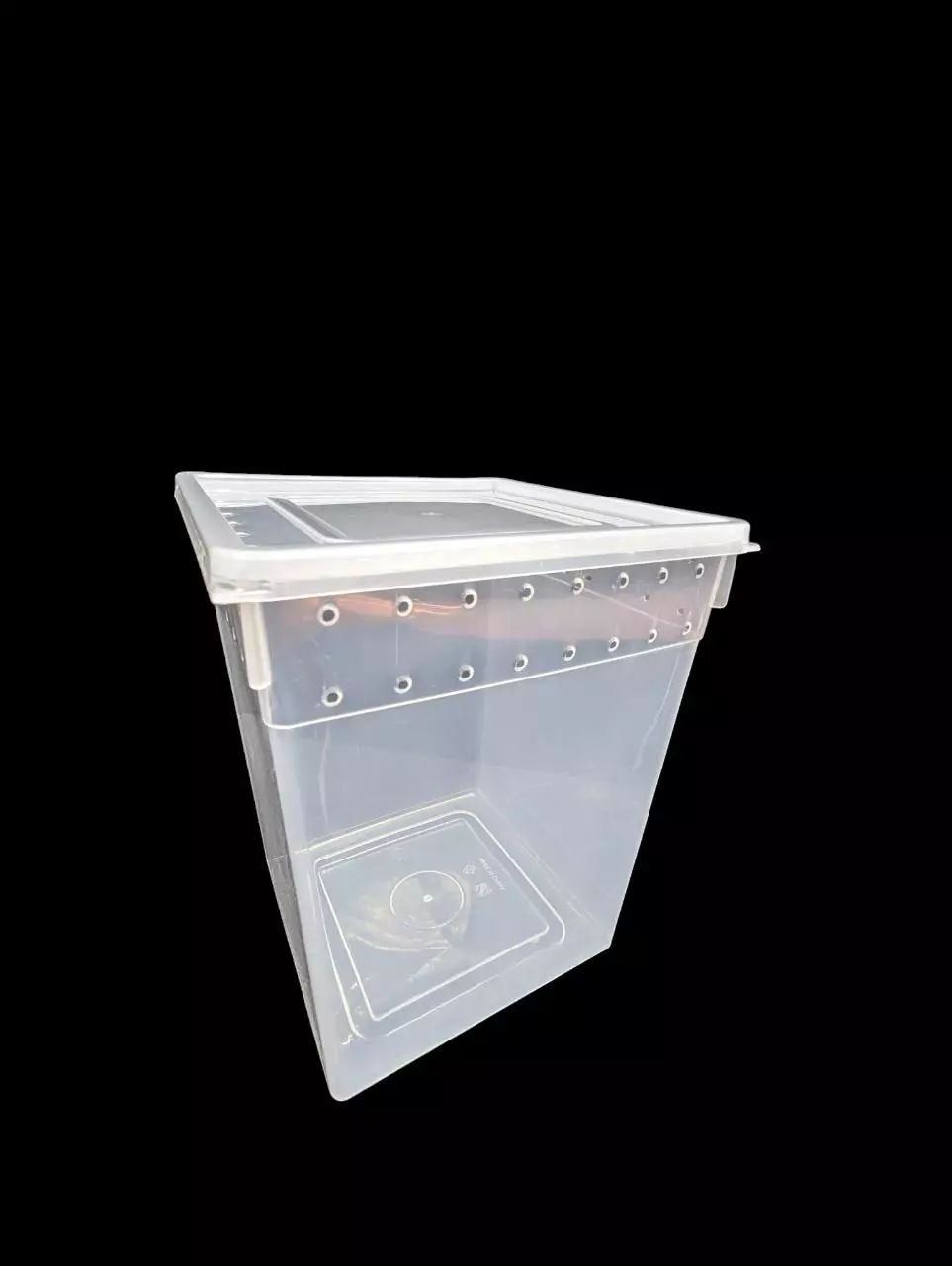 plant/Large Vertical Tub 8x8x10-0