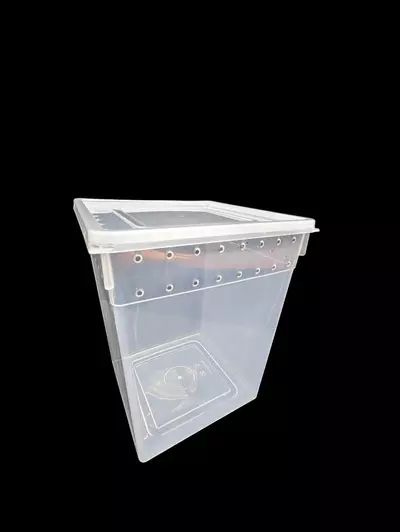 plant/Large Vertical Tub 8x8x10-0-thumbnail