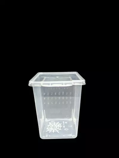 plant/Small Vertical Tub -0-thumbnail