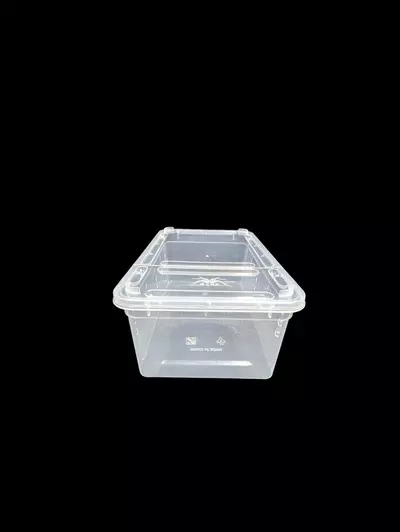 plant/Small Horizontal Tub-1-thumbnail