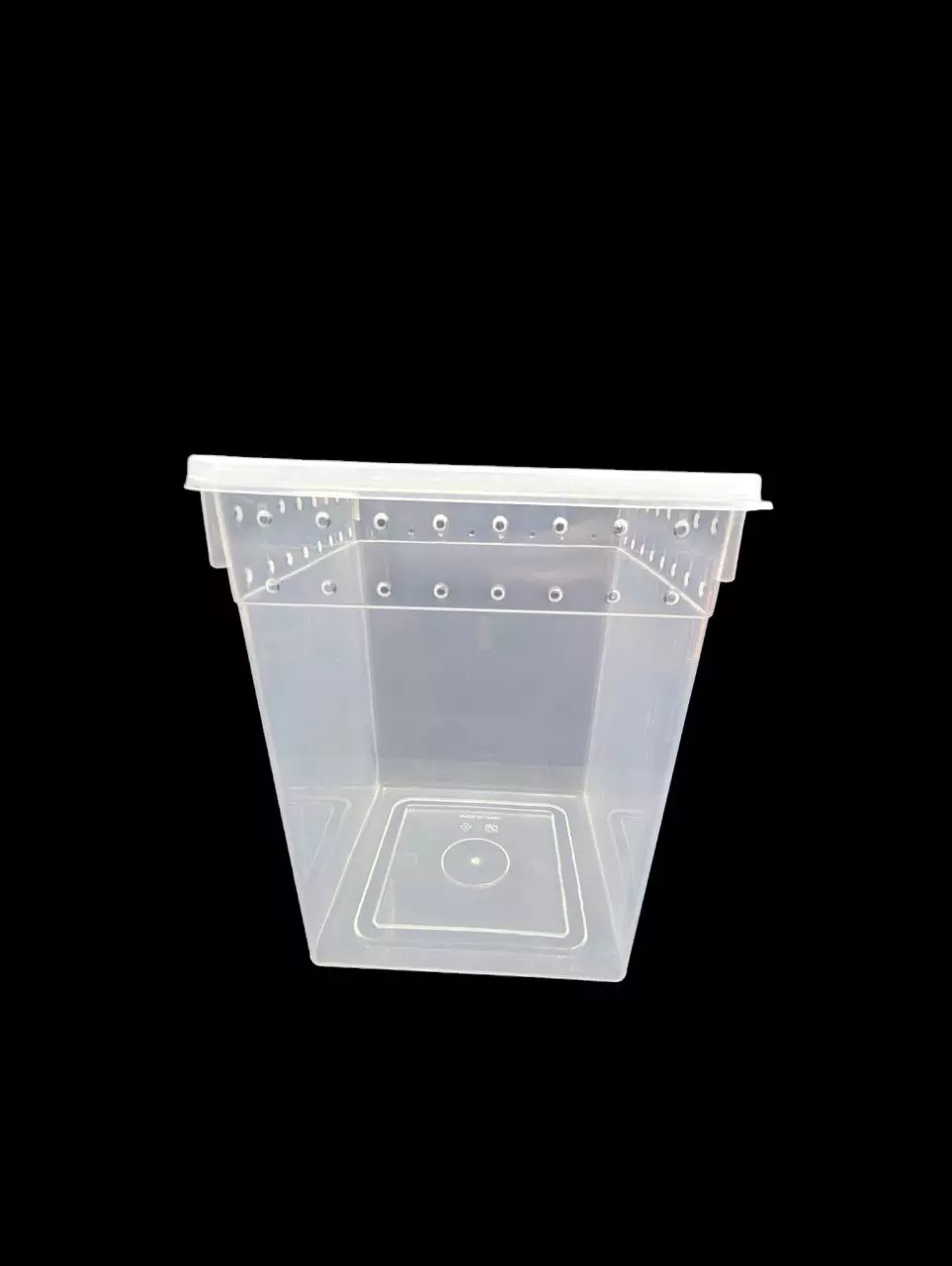 plant/Large Vertical Tub 8x8x10-1