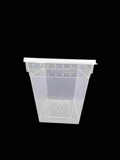 plant/Large Vertical Tub 8x8x10-1-thumbnail