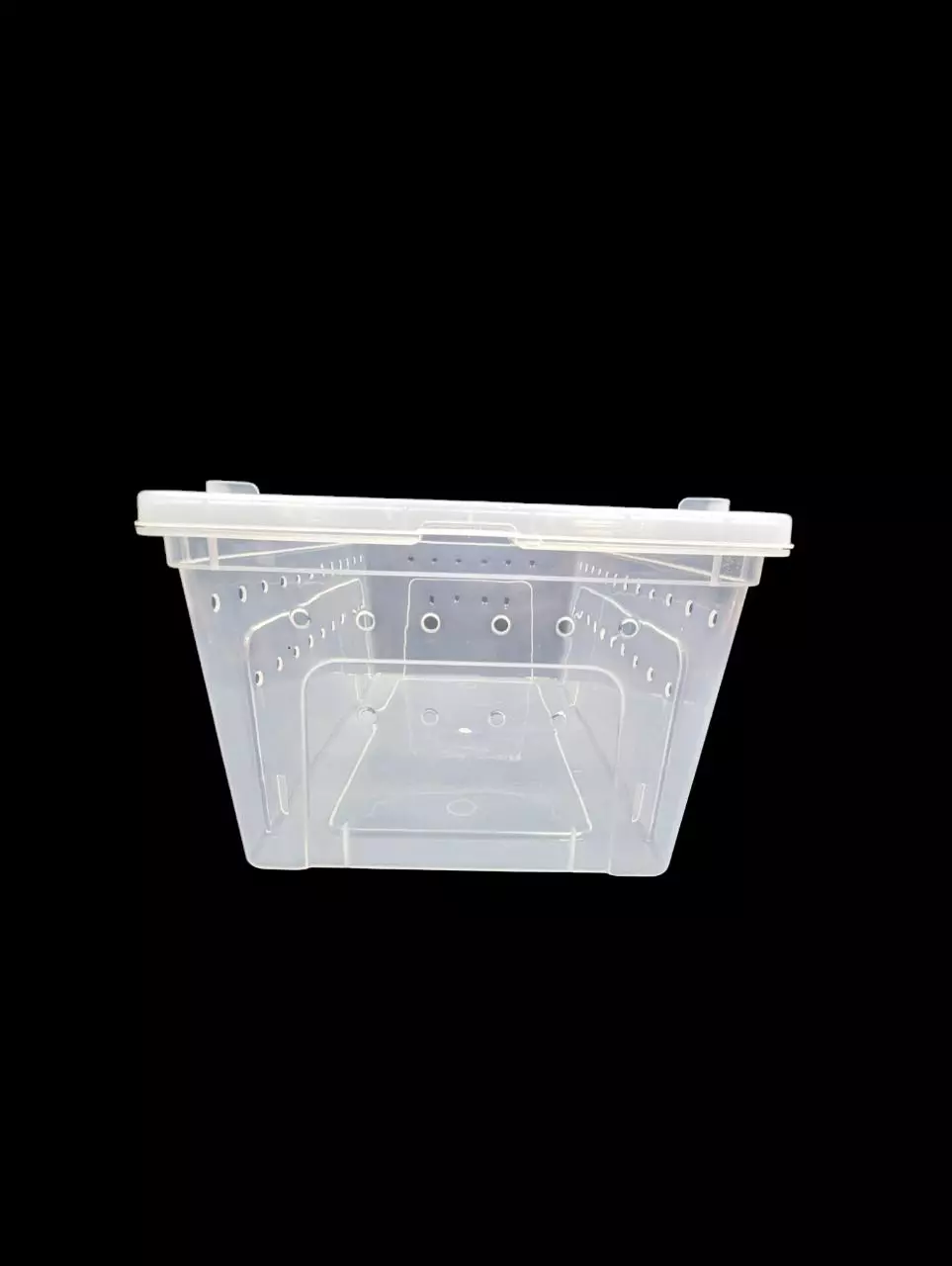 plant/Large Horizontal Tub-0