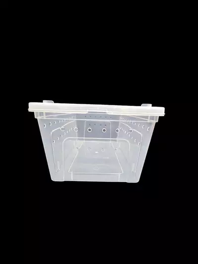 plant/Large Horizontal Tub-0-thumbnail