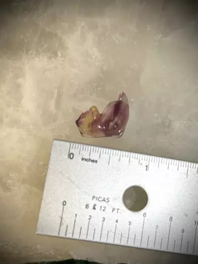 plant/Rainbow Fluorite Carving XXS - Playful Kitten-1-thumbnail