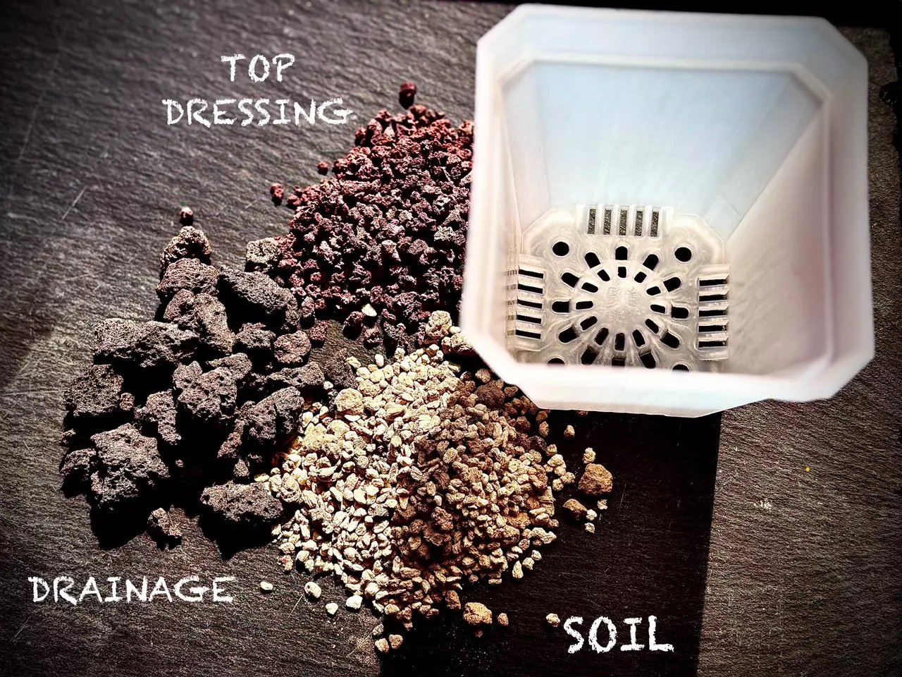 plant/READY TO POT KIT-0