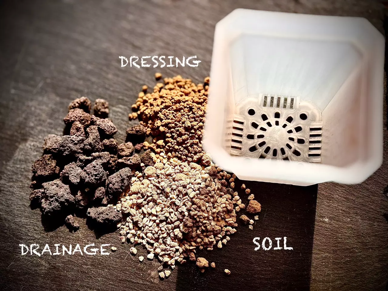 plant/READY TO POT KIT-0