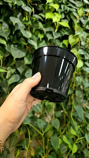 plant/4" Nursery Pot (5 count)-2-thumbnail