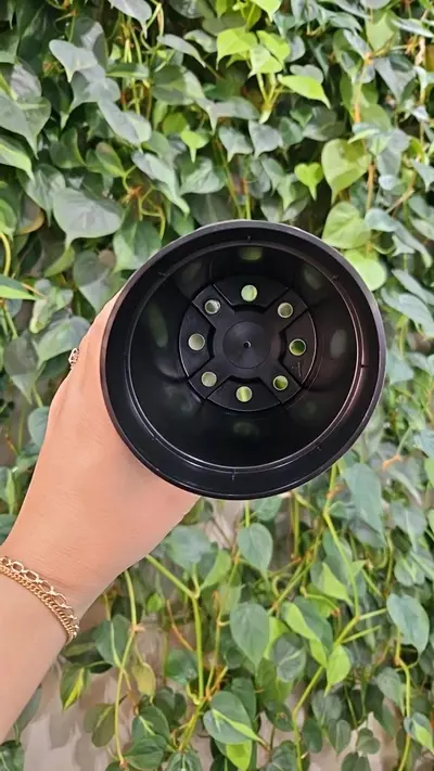 plant/4" Nursery Pot (5 count)-1-thumbnail