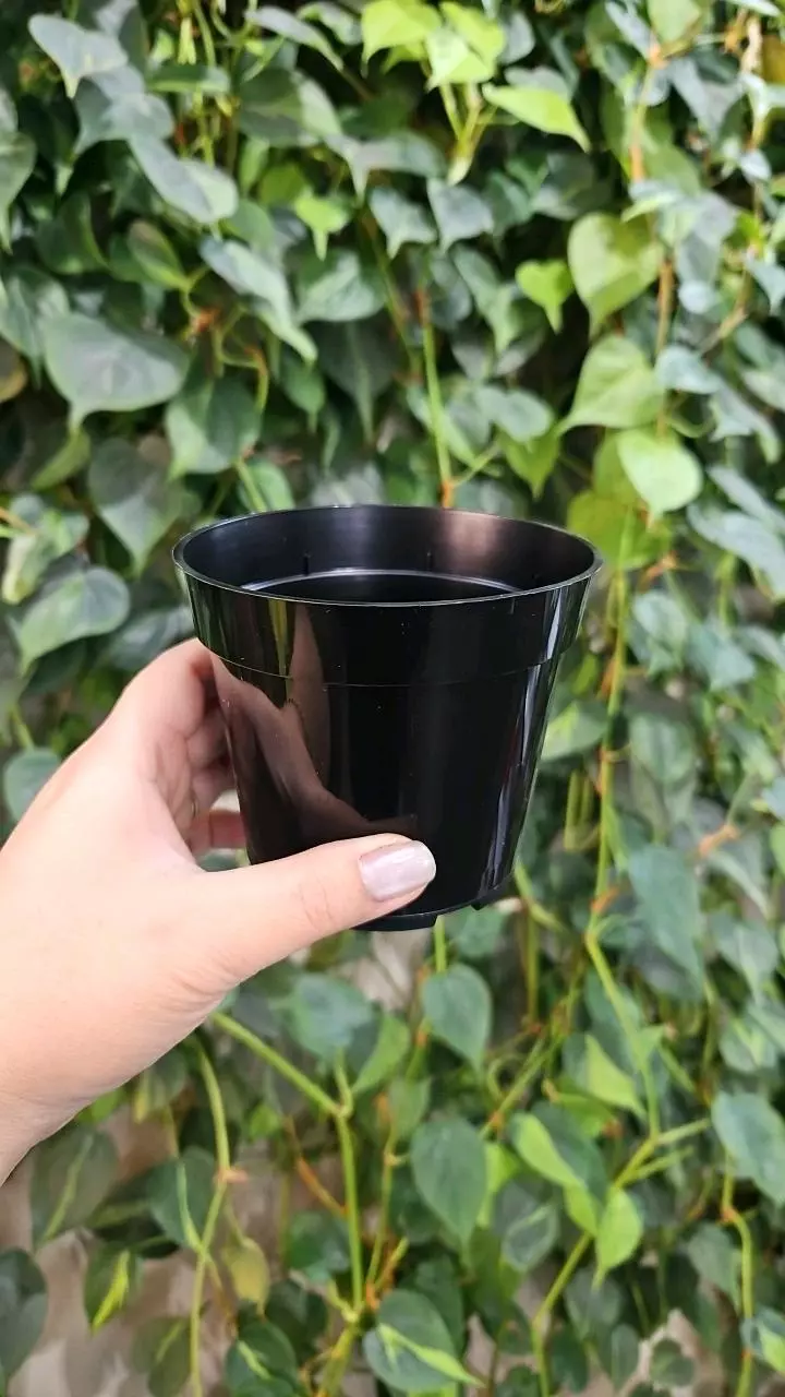 plant/4" Nursery Pot (5 count)-0