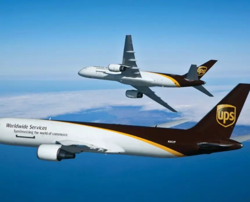 plant/UPS Overnight Shipping-0