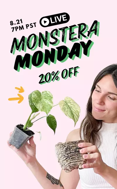 plant/Test 1 -0-thumbnail