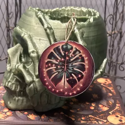 plant/Handmade Oranement 1-0-thumbnail