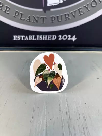 plant/Sticker 6-0-thumbnail