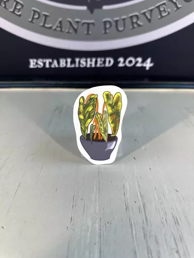 plant/Sticker 5-0-thumbnail