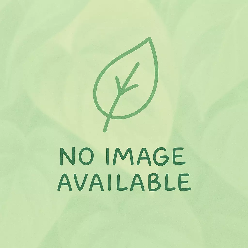 plant/Carnivorous Mix - LeafLabs-0