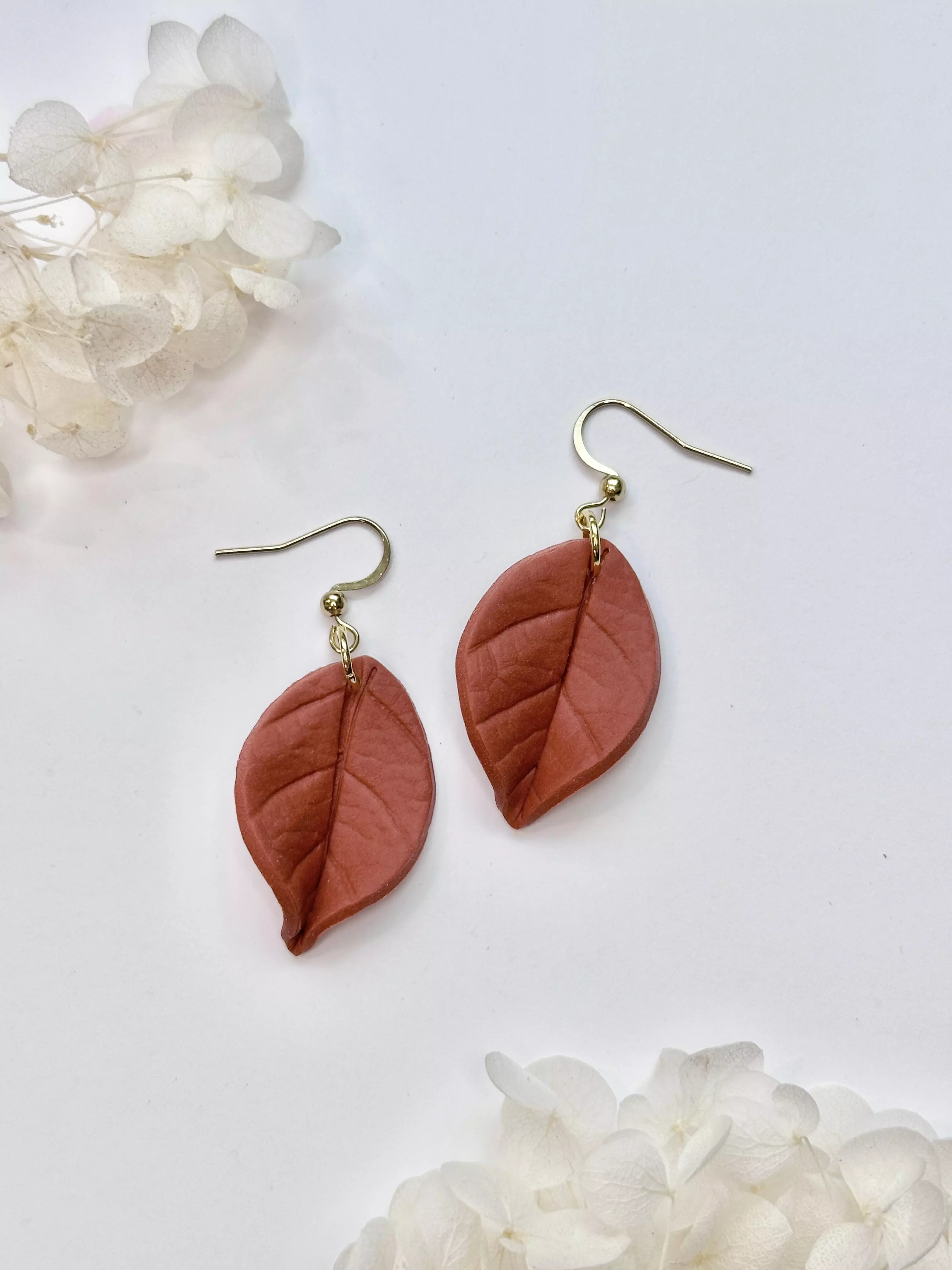 plant/Hoya Coriacea (Terracotta)-0