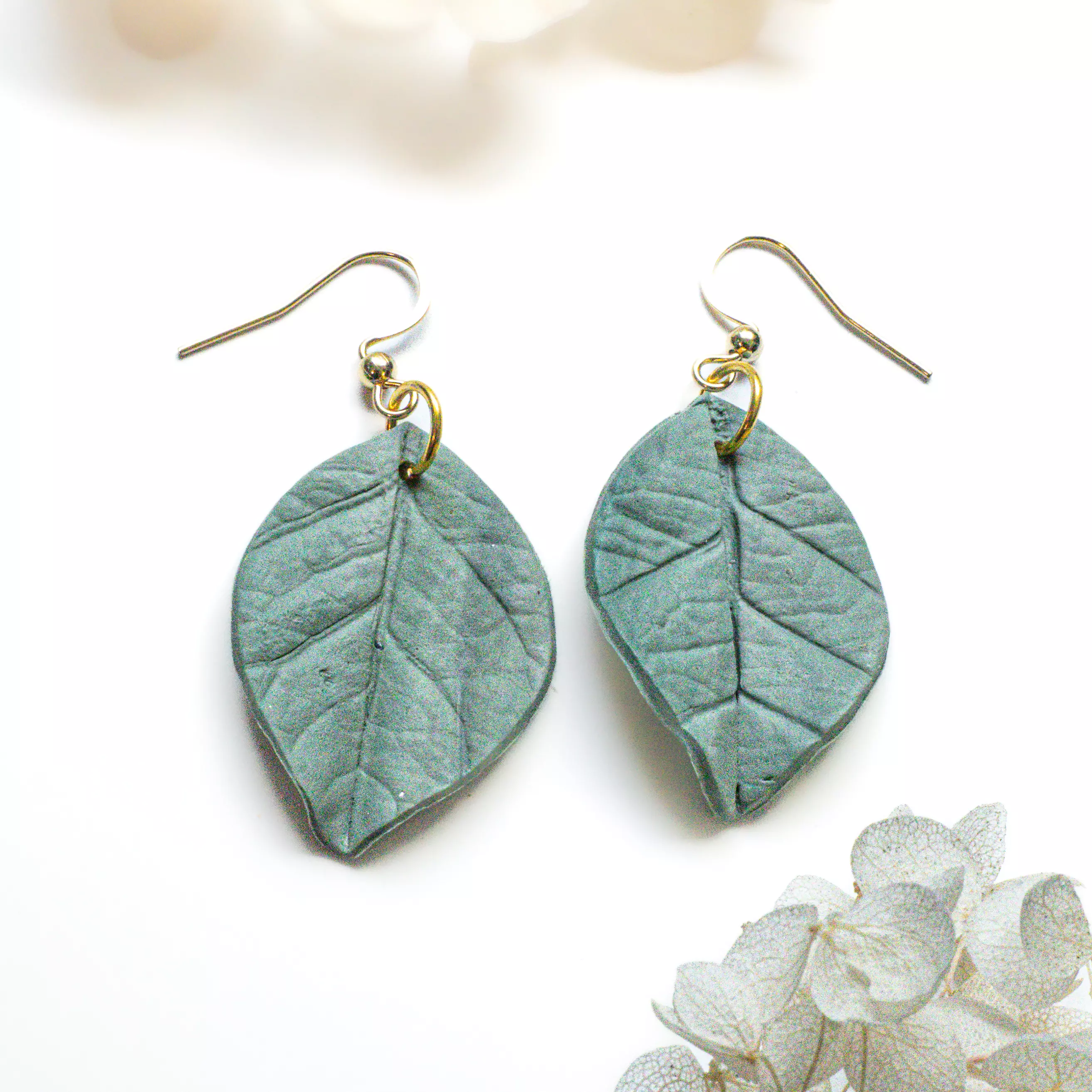 plant/Hoya Coriacea (Sage)-0