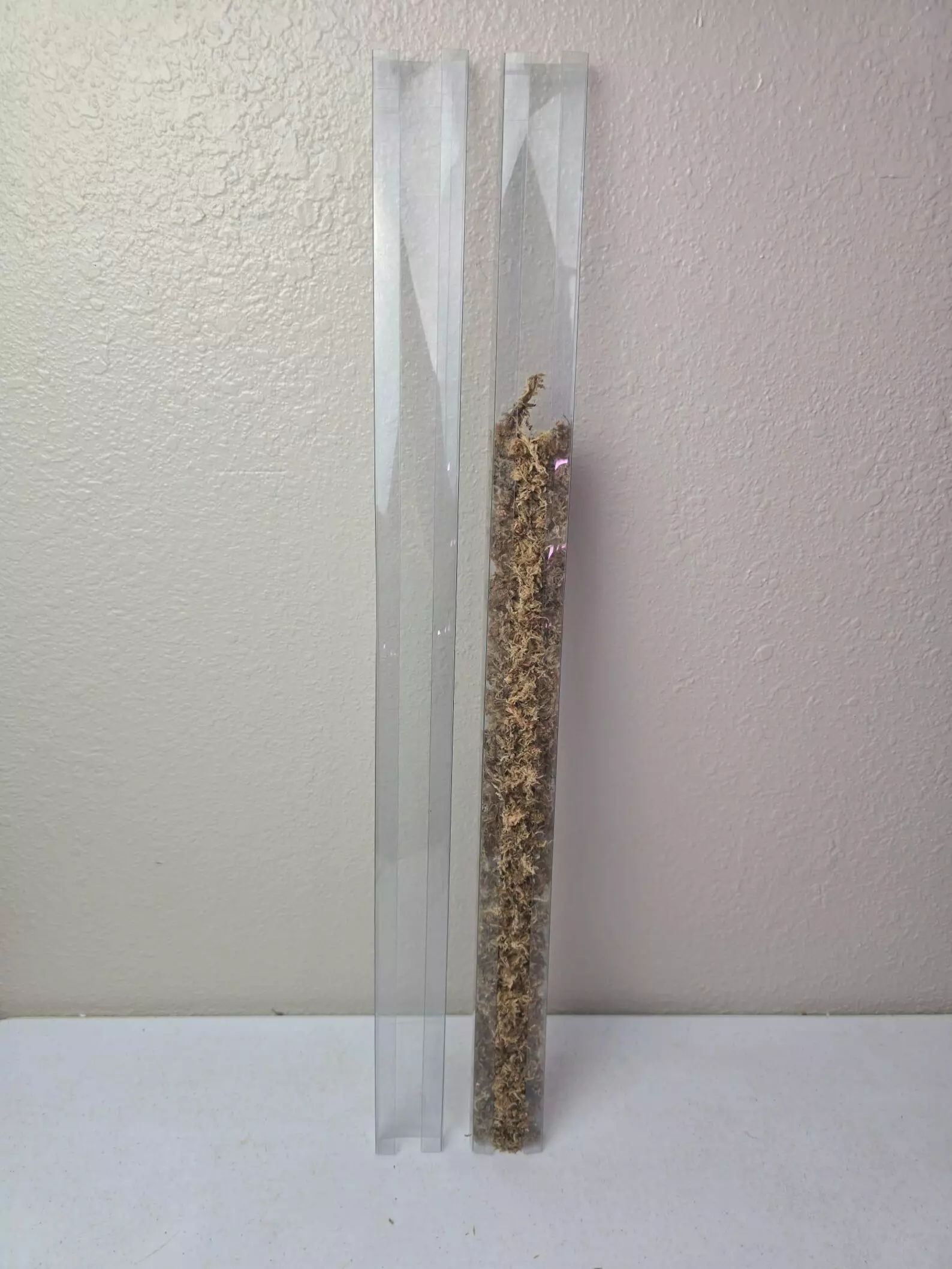 plant/Clear Firm Plastic Moss Pole | 27.5" Tall | Shipped with UPS Ground-1