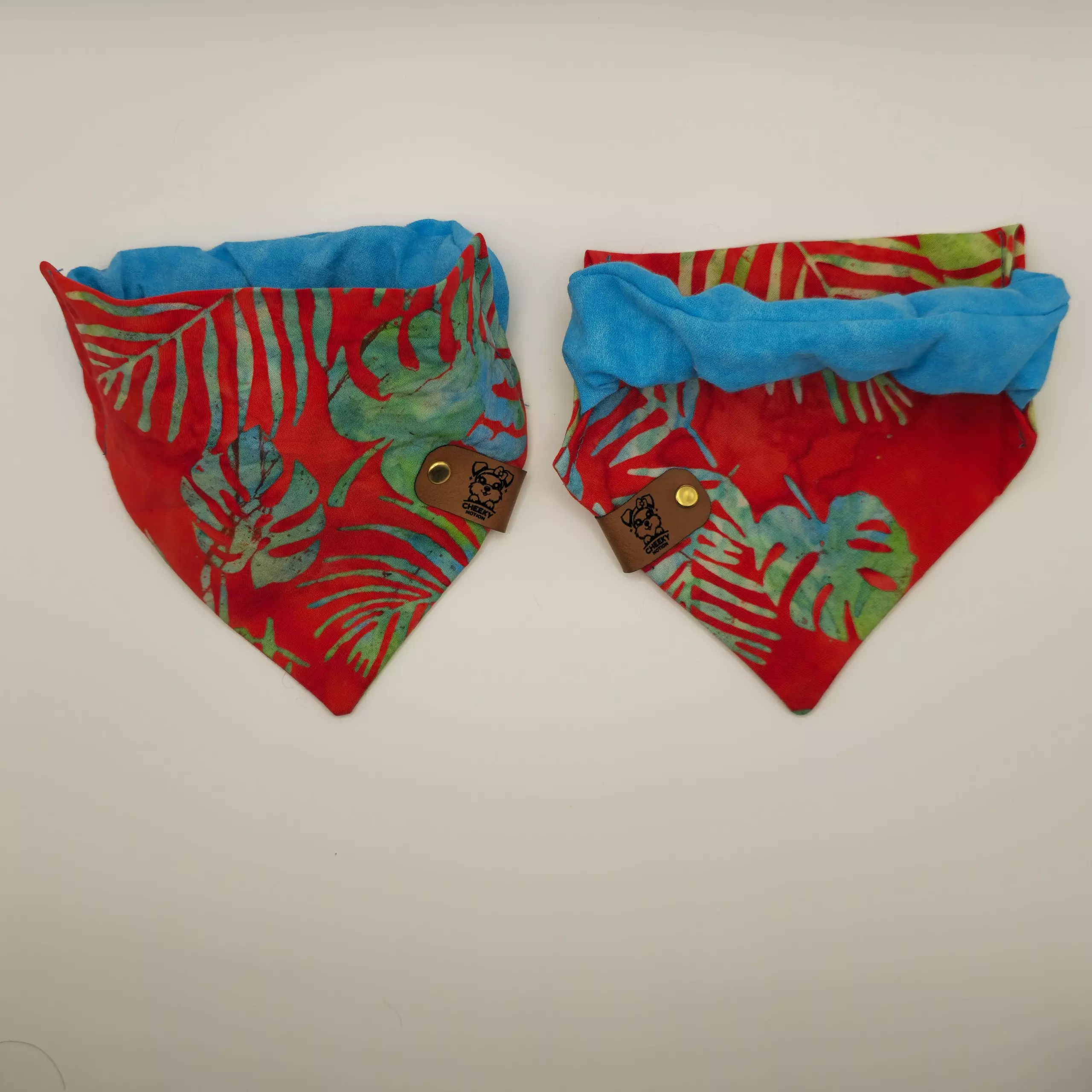 plant/Monstera Visions Bandana-0