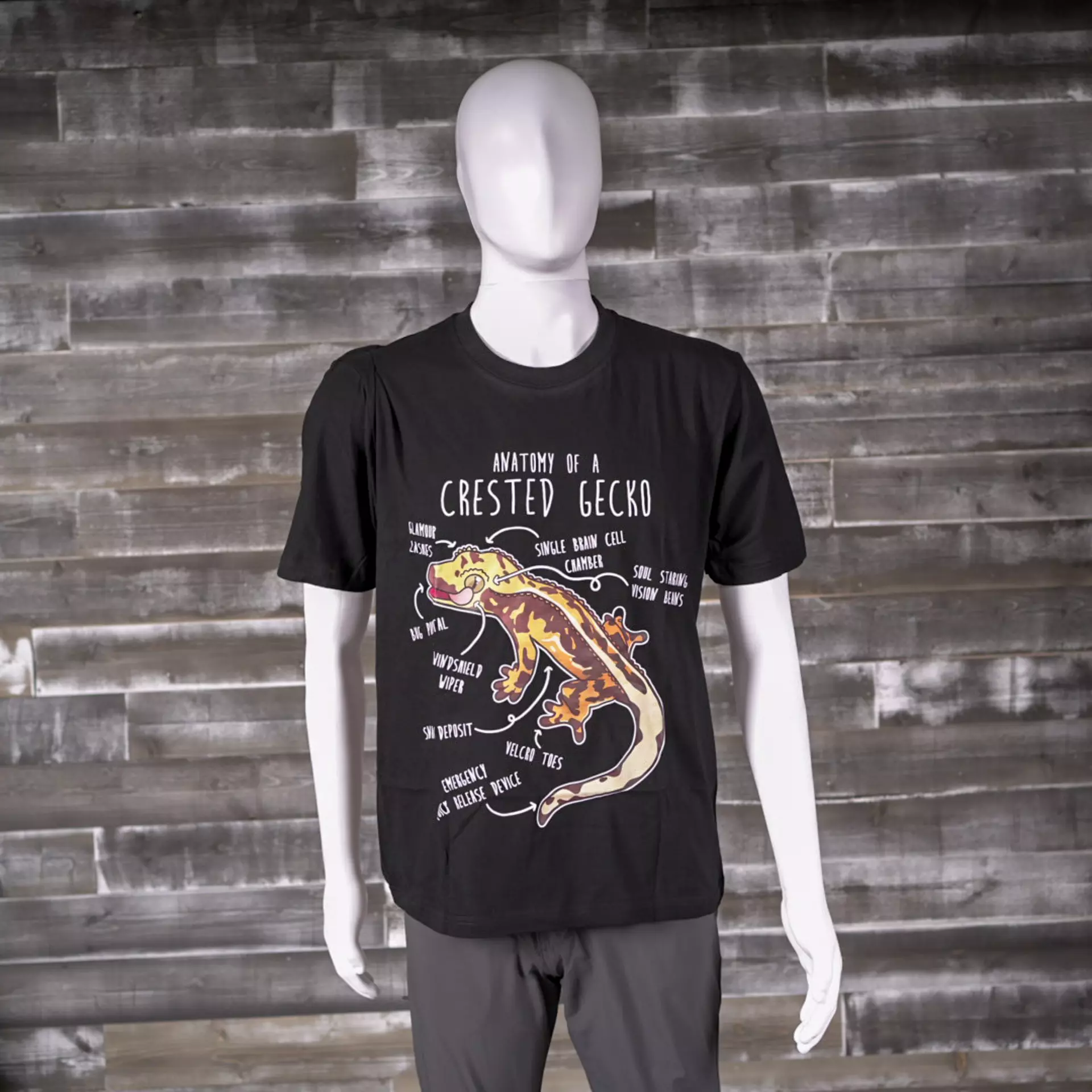 plant/Anatomy of a Crested Gecko T-Shirt-0