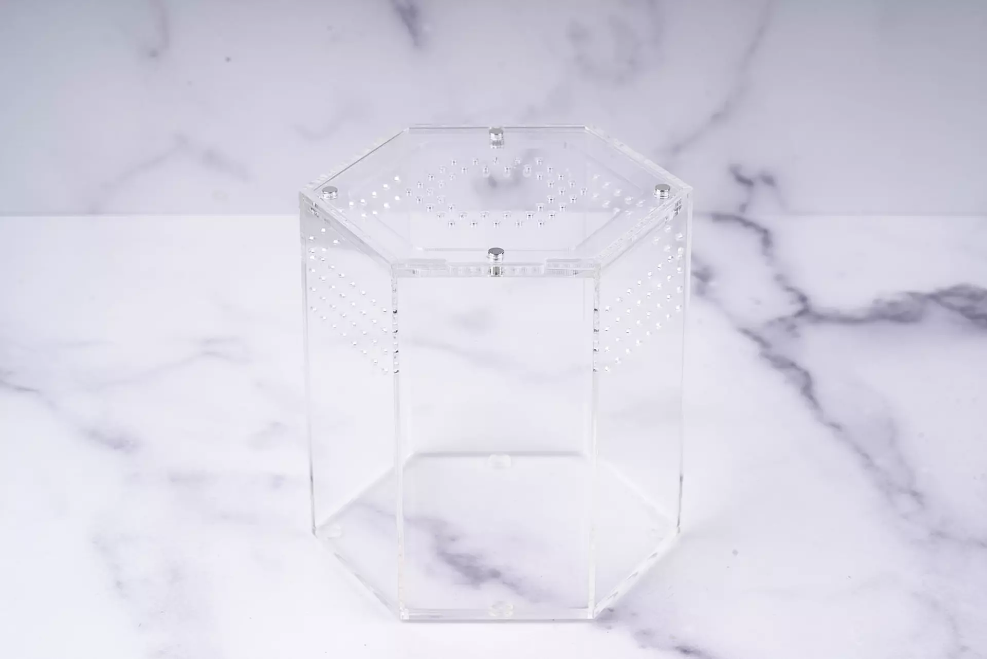 plant/Hexagon Acrylic Display & Transport Enclosure for Crested Geckos-0