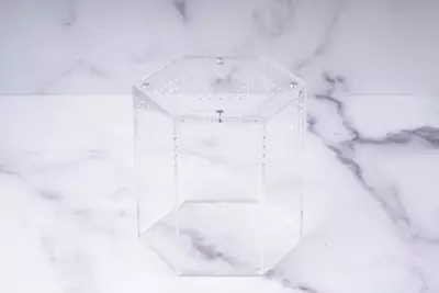plant/Hexagon Acrylic Display & Transport Enclosure for Crested Geckos-0-thumbnail