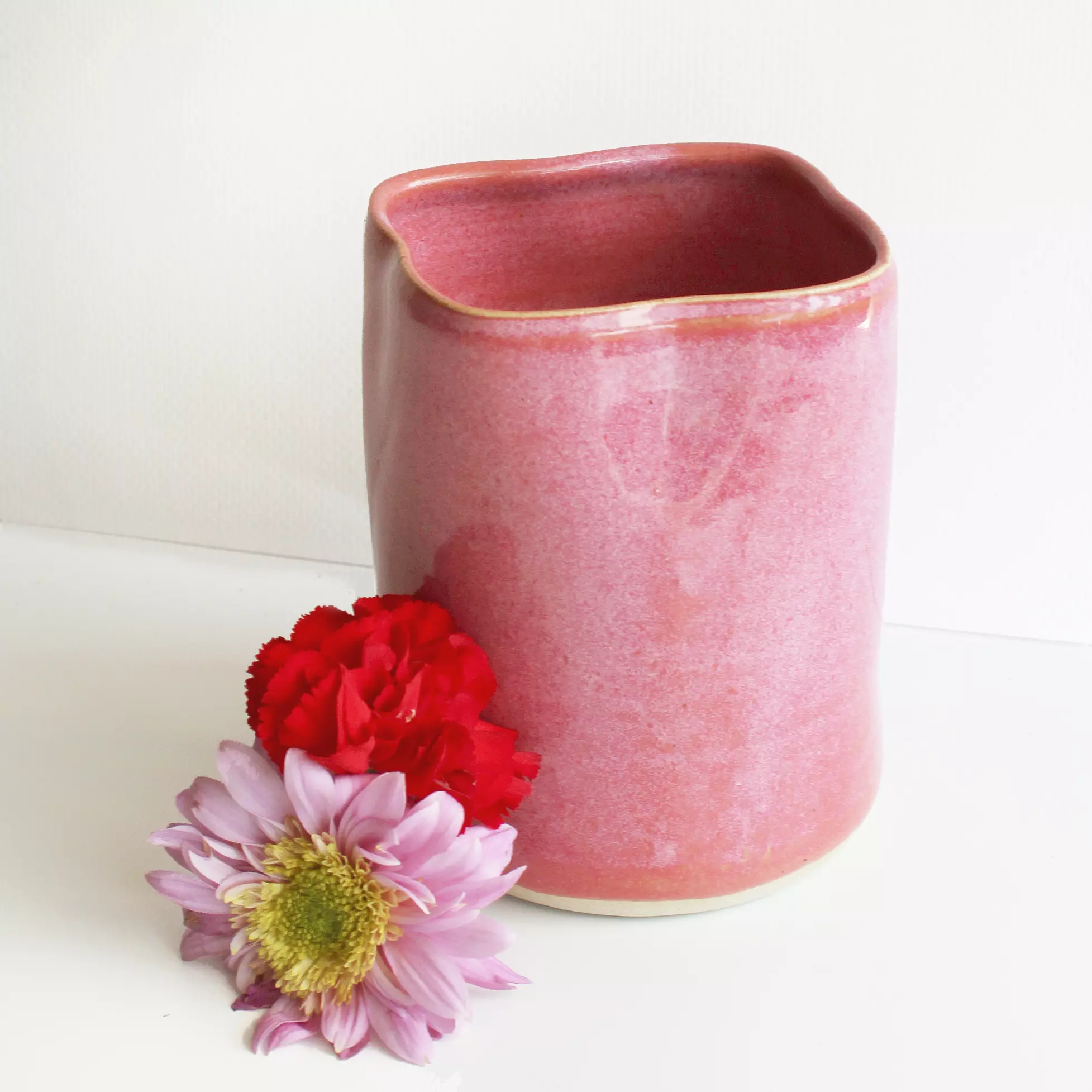 plant/Pink Brush Holder/Vase-0
