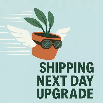 plant/Shipping Next Day Upgrade-0-thumbnail