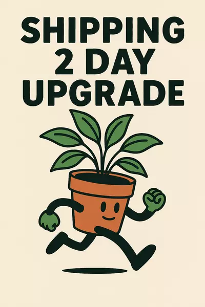 plant/Shipping 2 Day Upgrade -0-thumbnail