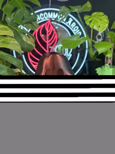 plant/2" Ghost Planter-0-thumbnail