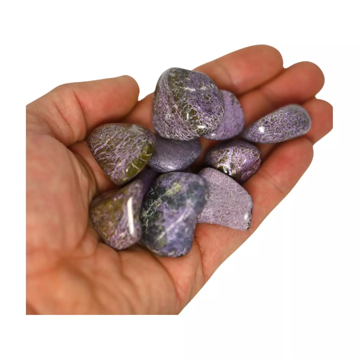 plant/Stitchite - Self-Awareness-0