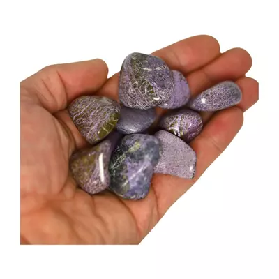 plant/Stitchite - Self-Awareness-0-thumbnail