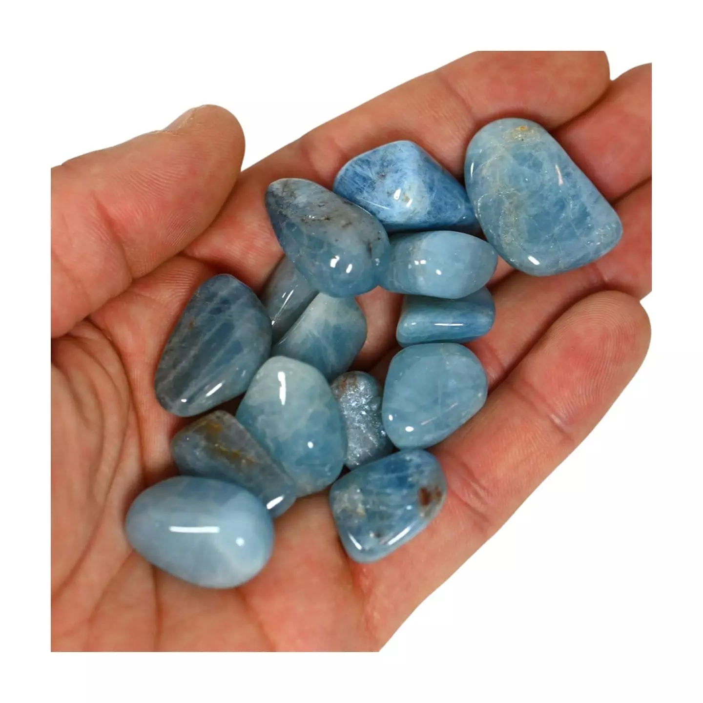 plant/Aquamarine - Courage, Calm-0