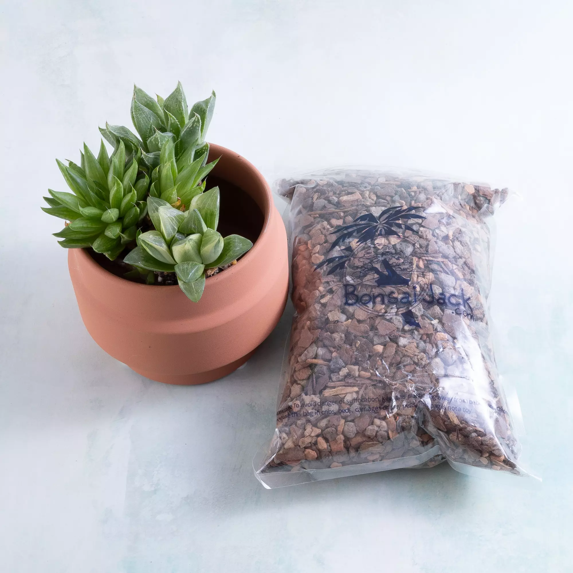 plant/Haworthia Plugs (3) + Terra Cotta Planter + Gritty Soil-0