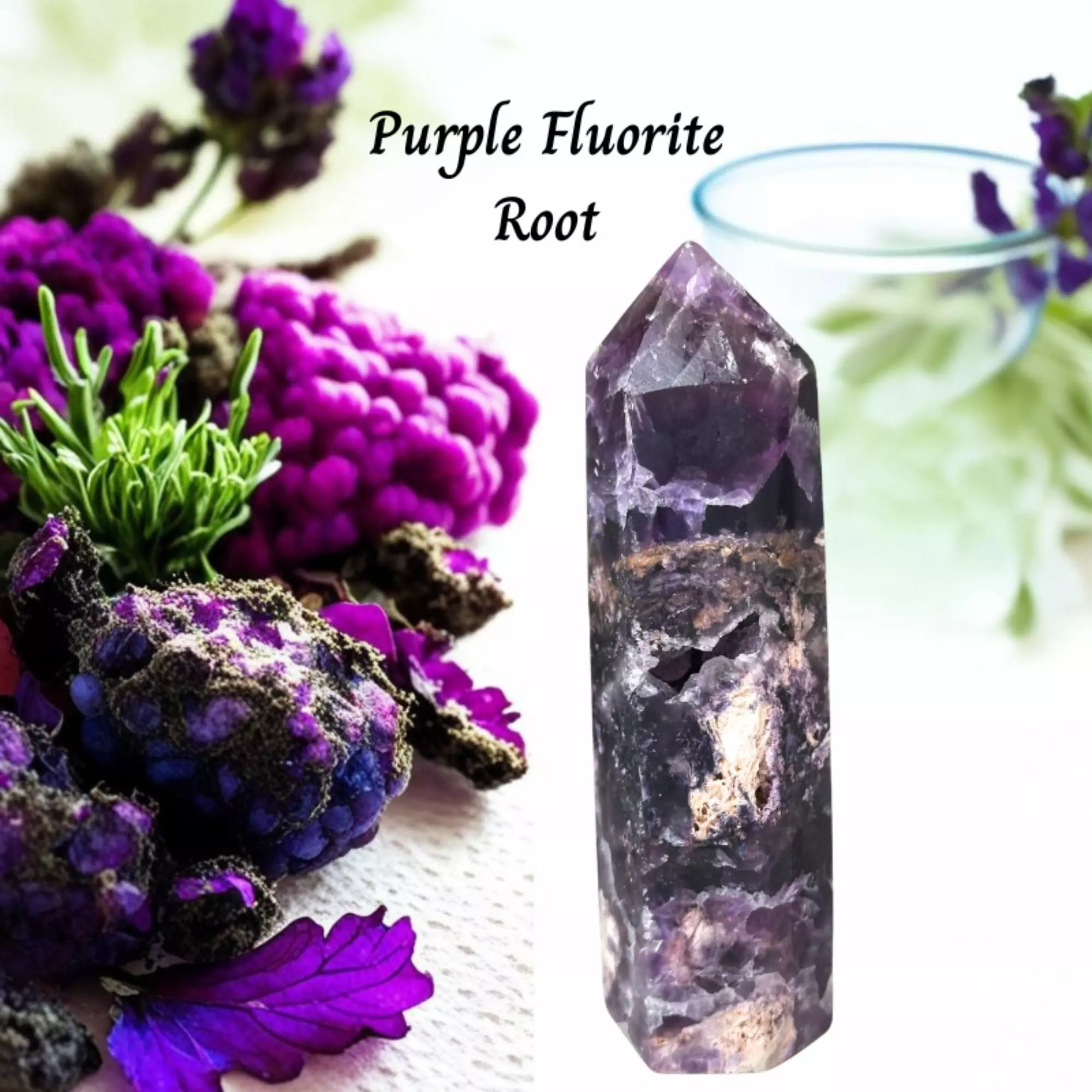 plant/Silky Purple Fluorite Root Point-0