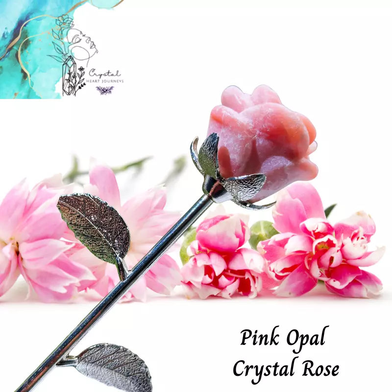 plant/Calming Pink Opal Crystal Rose-0