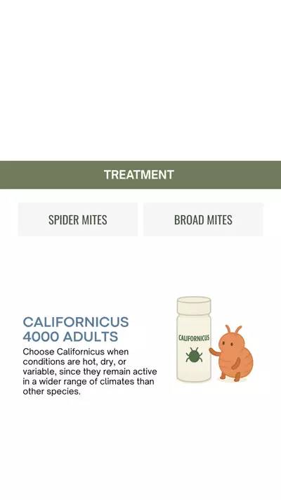 plant/Californicus - Spider Mite, Broad Mite Treatment -0-thumbnail