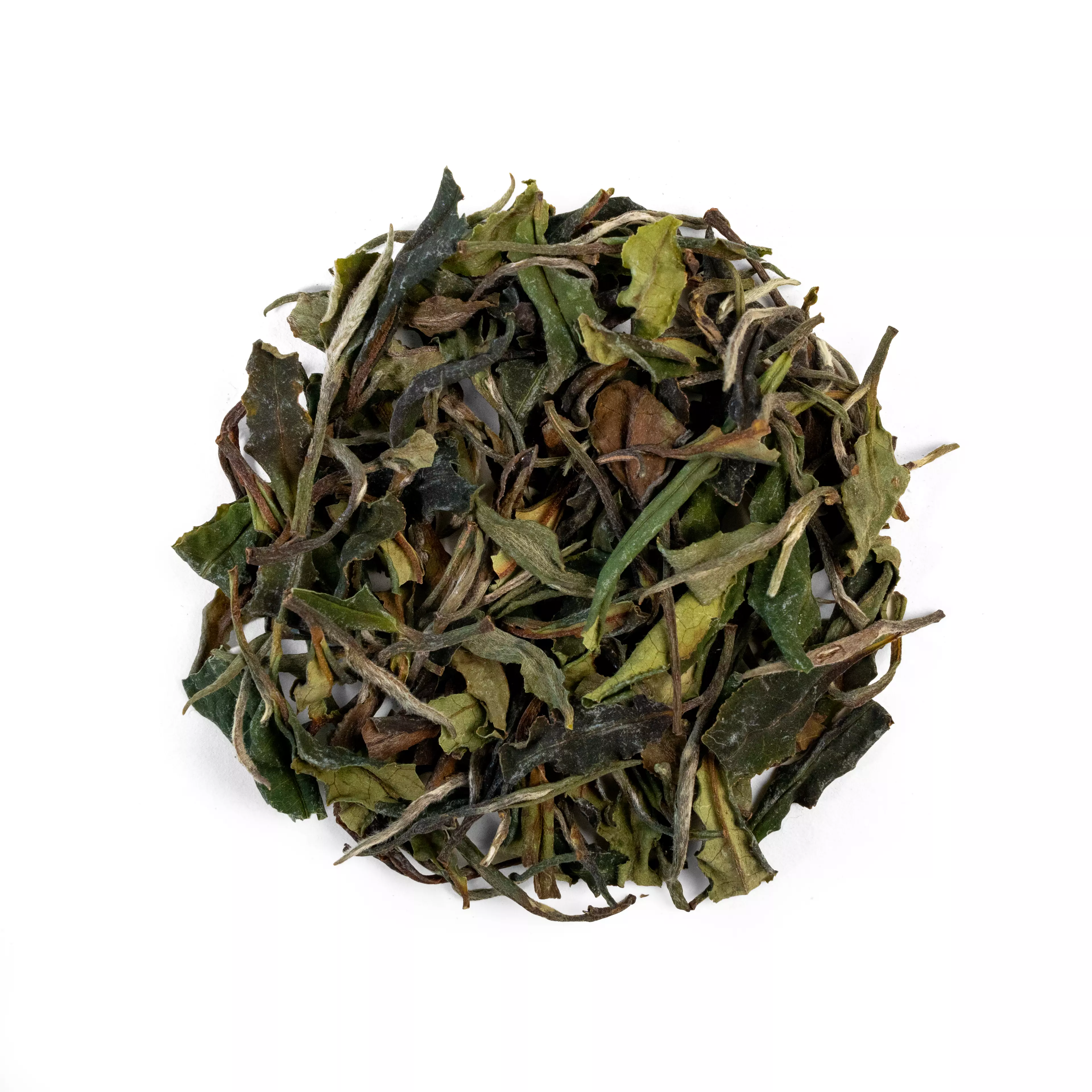 plant/WAH PEONY - Oolong Tea-0