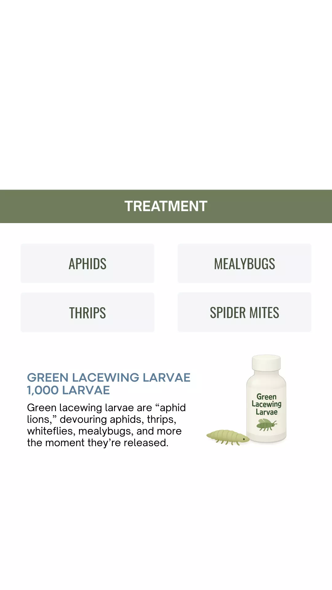 plant/Green Lacewing Larvae-0