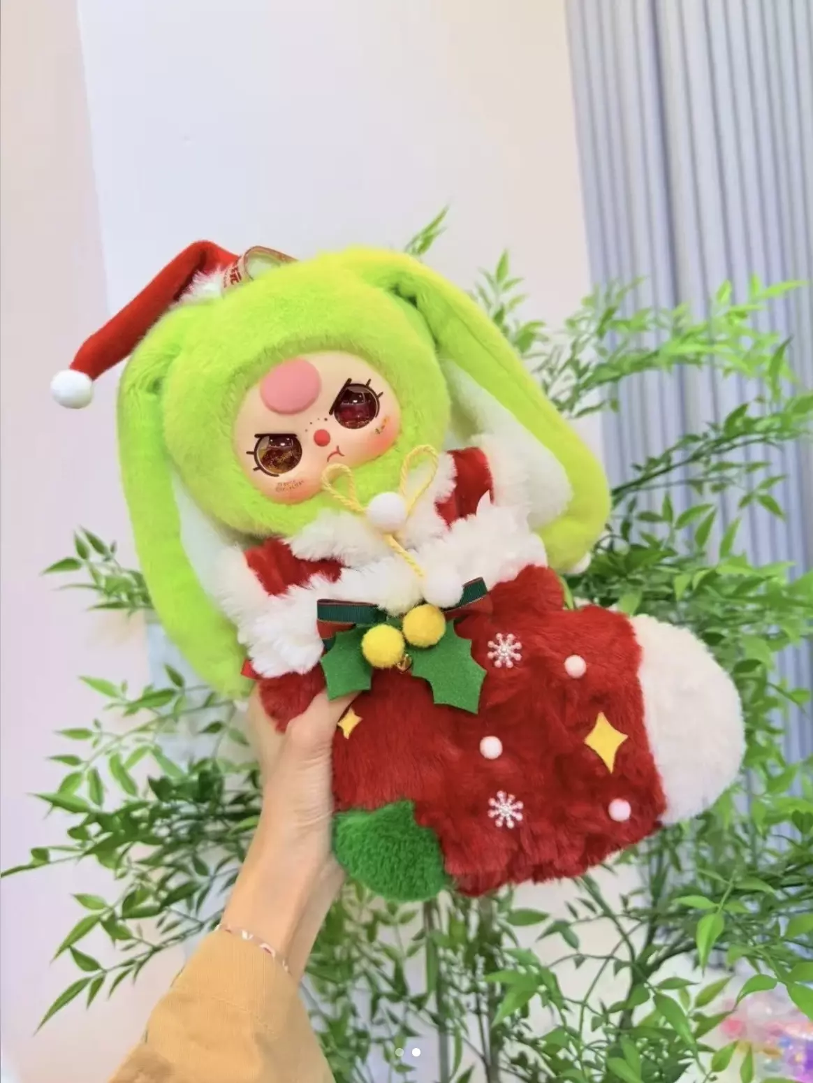 plant/1Box Baby3 Chrismas Limited-0