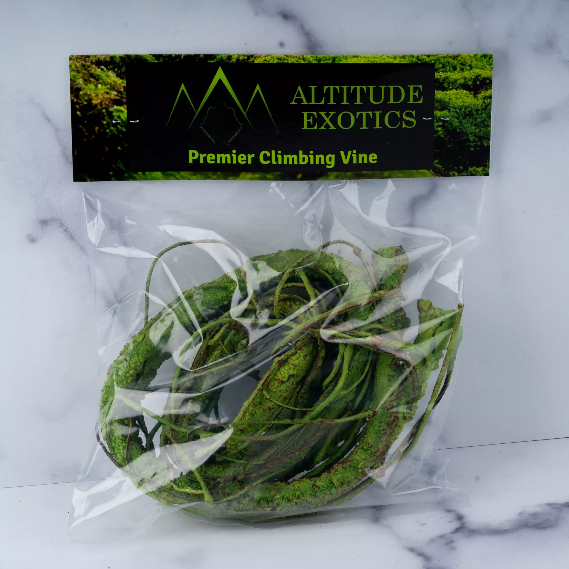 plant/Altitude Exotics Premier Climbing Vine- Light Green-0