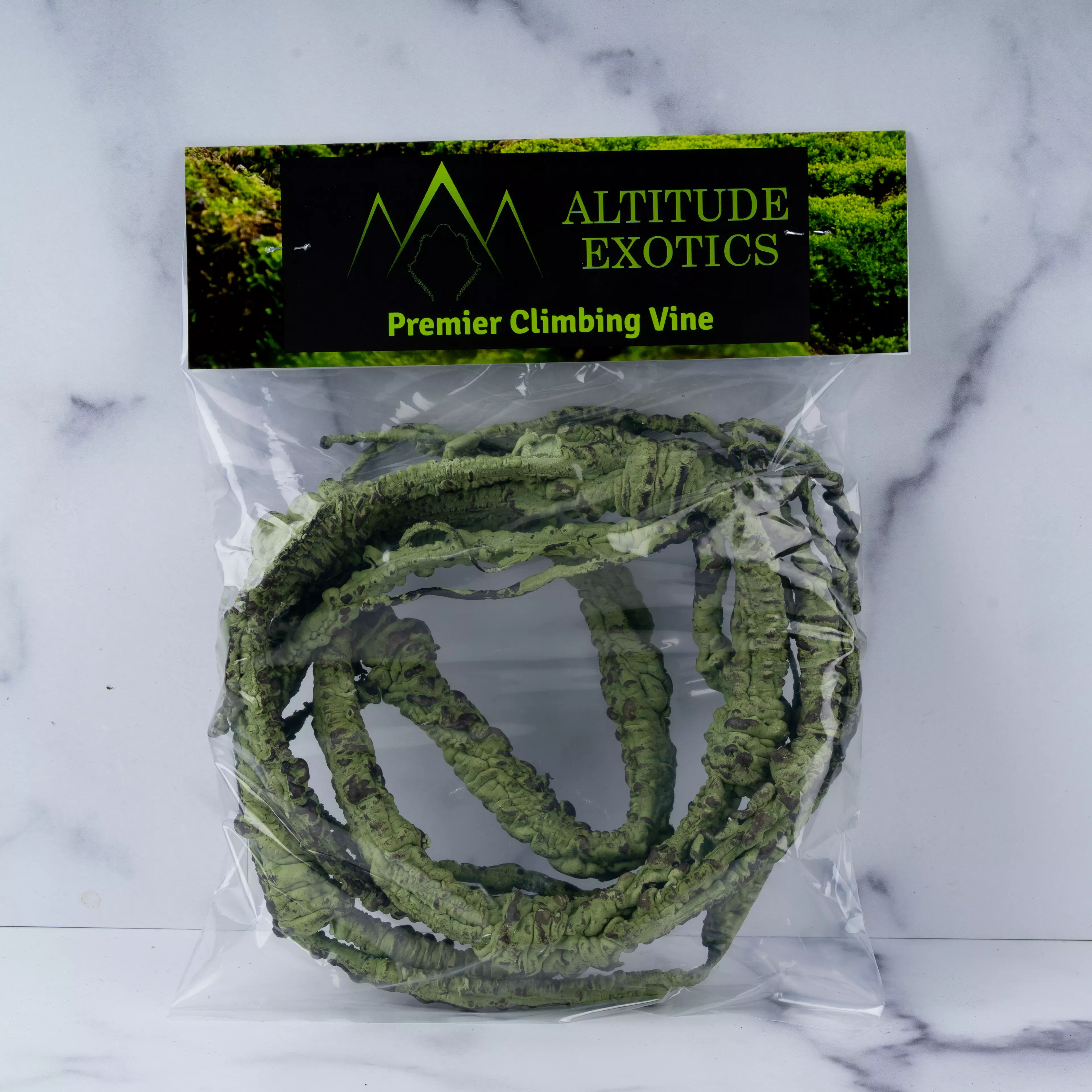 plant/Altitude Exotics Premier Climbing Vine- Dark Green-0