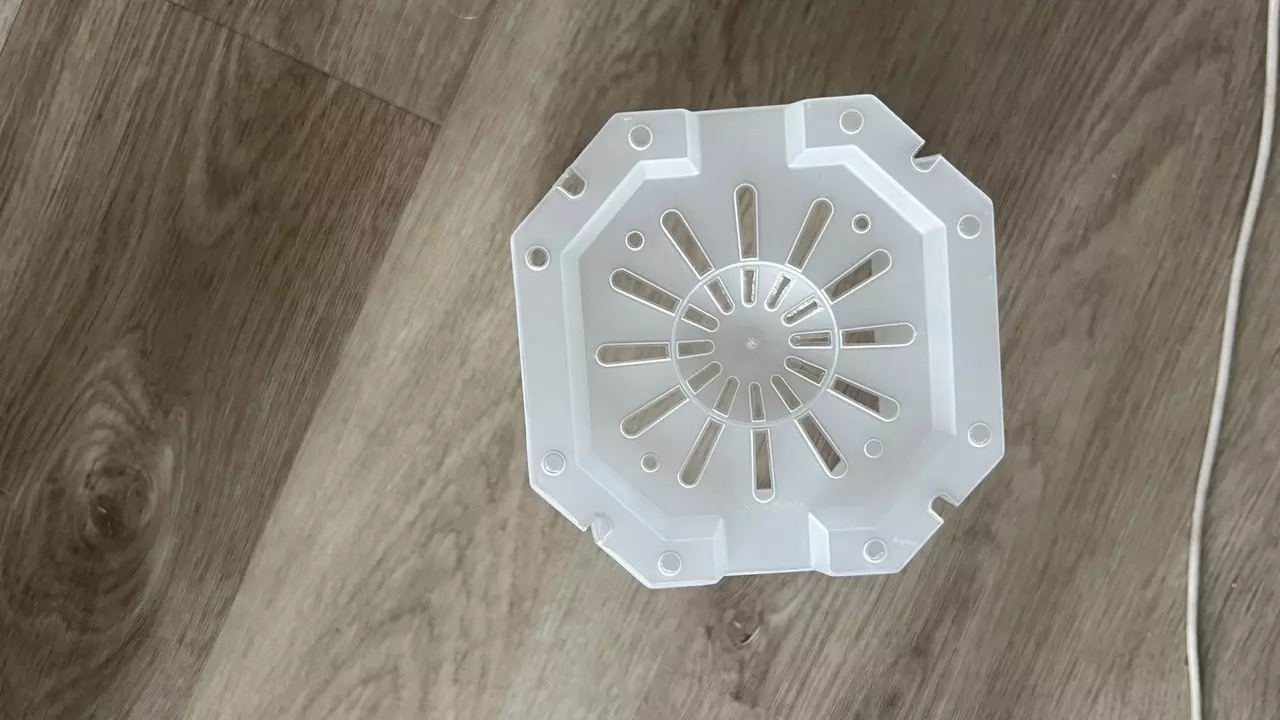 plant/6” clear pots - set of 5-2